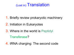 Translational Initiation in Eukaryotes