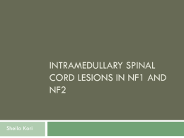 Intramedullary Lesions in NF1 and NF2 (NXPowerLite)