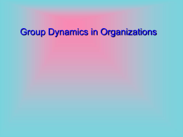 Group Dynamics in Organizations