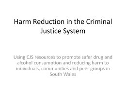 Harm Reduction in the Criminal Justice System