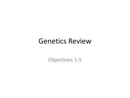 Objectives 1-5 Genetics Review class notes