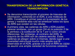 transferencia de la información genética: transcripción