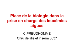 Place de la biologie dans la prise en charge des leuc&eacute;mies aigues