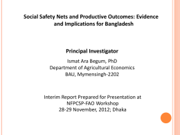Social safety nets and productive outcomes