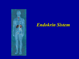 Endokrin Sistem