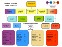 Lessee Services Te am structure