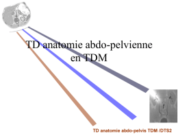 TD anatomie abdo-pelvienne en TDM