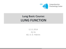 Lung function test