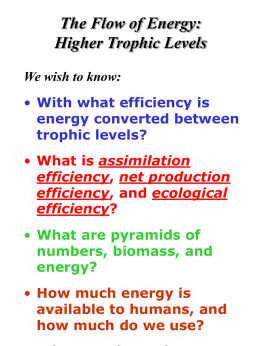The Flow of Energy: Higher Trophic Levels