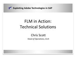 FLM-in-action