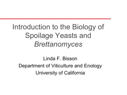 Introduction to the Biology of Spoilage Yeasts and Brettanomyces