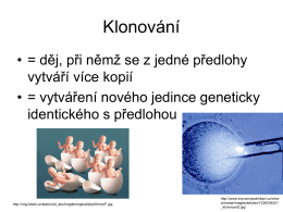 Klonování - Studiumchemie.cz