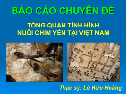 Ph&aacute;t triển nghề nu&ocirc;i chim yến trong nh&agrave; ở Việt Nam
