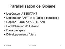 Parallélisation GIBIANE.