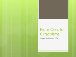 Define: Cell, Tissue, organ, and organ system