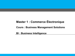 Cours Business Management Solutions – BI