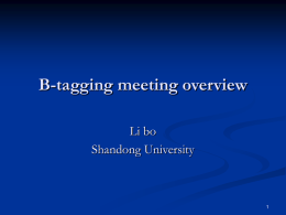 Overviwe_of_b-tagging_meetings