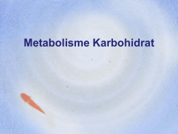 Metabolisme KH (ok)
