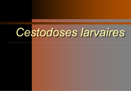 Cestodoses larvaires