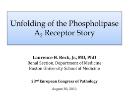 PPT / 13904 KB - Nephropathology Working Group