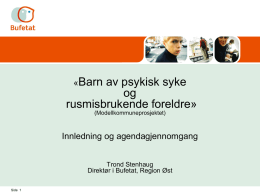Trond Stenhaugs PP-presentasjon fra konferansen finner