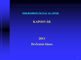 mikrobiologiai_alapok