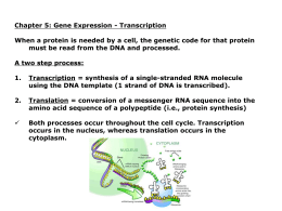 Gene expression: Transcription