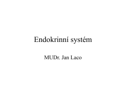 Endokrinní systém