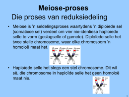 B) Les: Meiose - Life Sciences 4 All