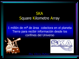 SKA Square Kilometre Array - Instituto Argentino de Radioastronomía