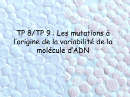 TP_mutations_levures