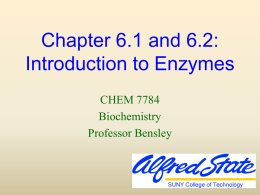 Enzymes: Principles of Catalysis