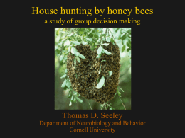 House hunting by honey bees - University of Chicago Press