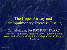 The Upper Airway and Cardiopulmonary Exercise Testing