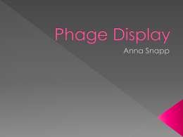 Mar. 31 Presentation Phage Display