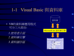 Visual Basic 與資料庫