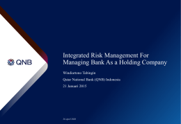 Integrated Risk Management IBI