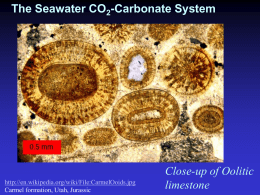 6-The CO2 system in power point
