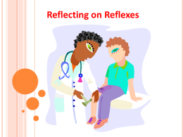 Reflecting on Reflexes Presentation