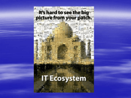 IT Ecosystem