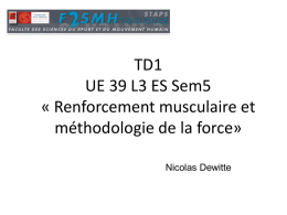 TD1 UE 39 L3 ES Sem5 « Renforcement musculaire et