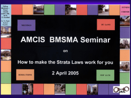 the bmsma