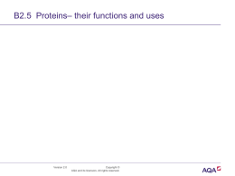 Powerpoint B2.5 Proteins – their functions and uses