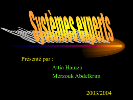 SYSTEMES EXPERTS