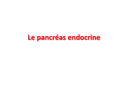 pancreas endocrine D1