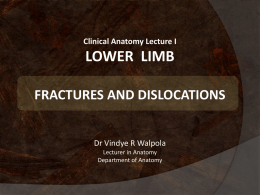 Clinical anatomy of the lower limb I (fractures)