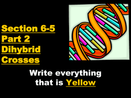 6-5 part 2 Dihybrid