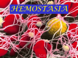 Hemostasia - Fisiologia FMABC