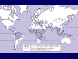 11、疟原虫 - 人体寄生虫学