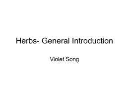Herbs-Release Exterior